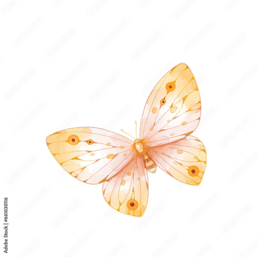 Fototapeta premium watercolor butterfly illustration isolated png transparent background.