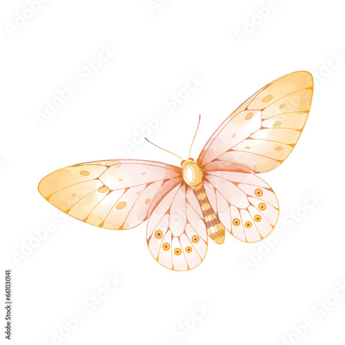 watercolor butterfly illustration isolated png transparent background.