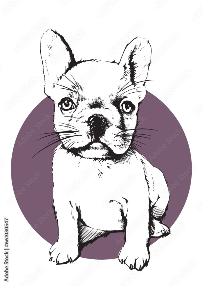 Illustration of cute french puppy dog