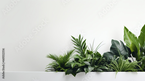 White wall and plants with copyspace. Marketing advertising platform