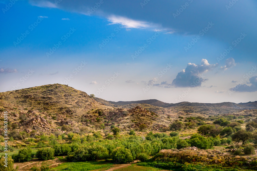 View of a Mountain Landscape from Taif National Park, Saudi Arabia View of a Mountain Landscape from Taif National Park, Saudi Arabia