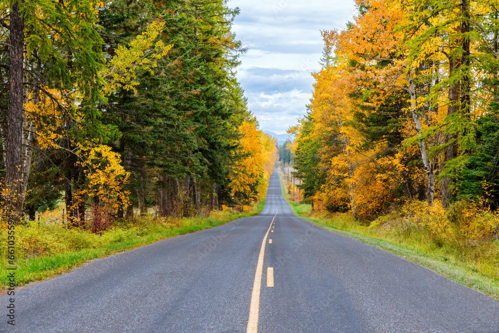 country road with colorful fall foliage in northwest Montana