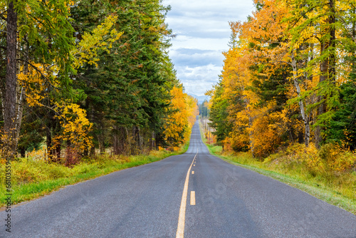 country road with colorful fall foliage in northwest Montana