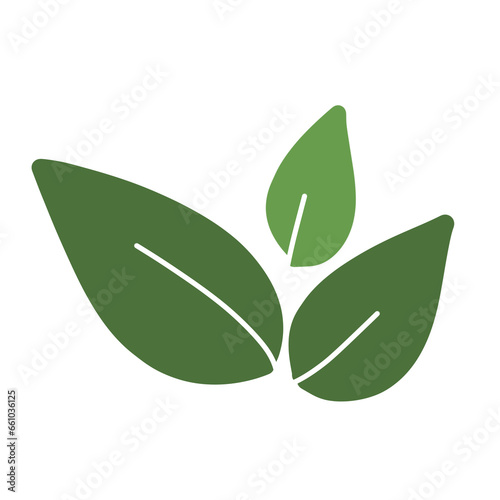 Green leaf