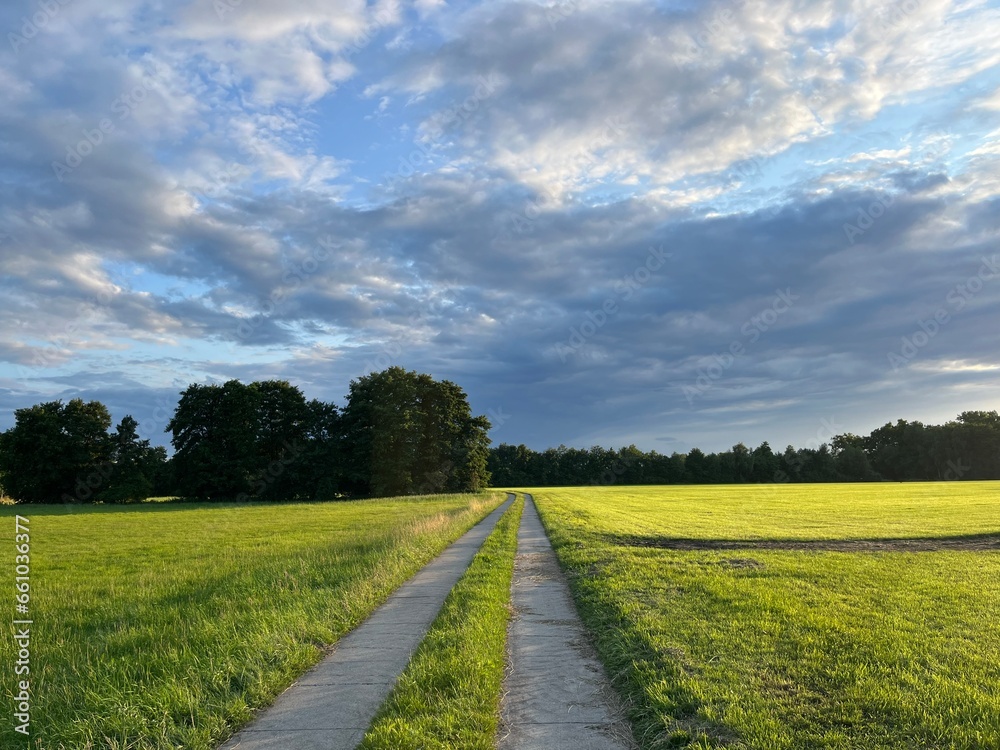 Empty tractor way in the green field, fields landscapes Empty tractor way in the green field, fields landscapes