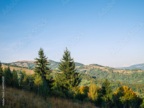 Village in Transcarpathia region scenic Carpathian mountains view Ukraine, Europe. Autumn countryside landscape fall spruce pine trees. Eco Local tourism hiking Recreational activities Vacation