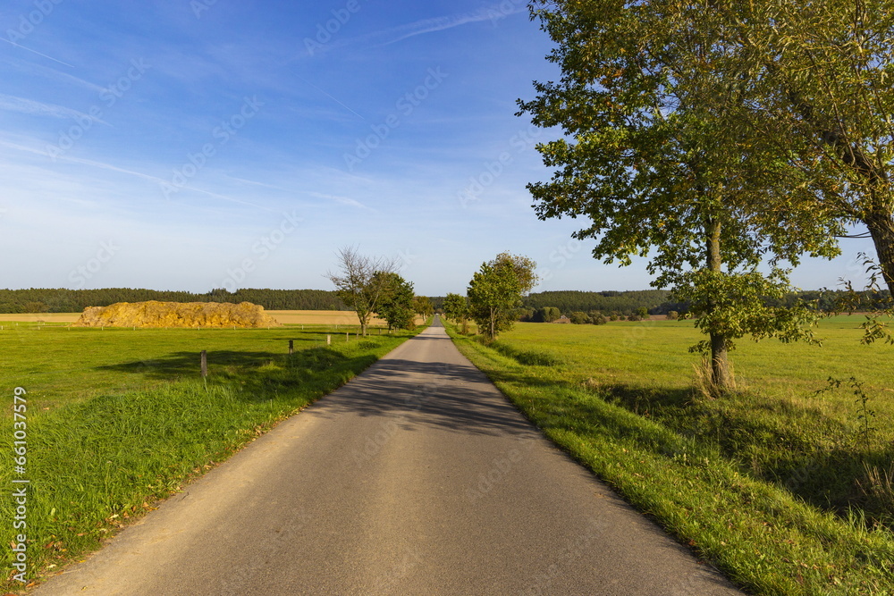 Rural road in Europe