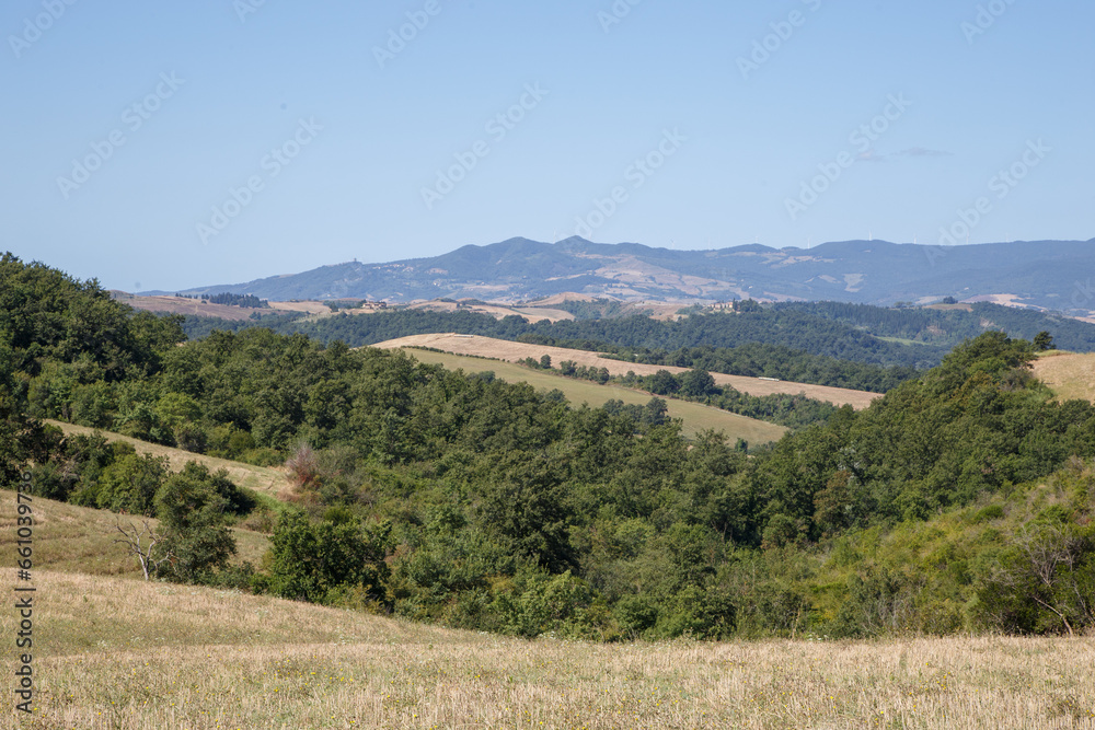 Fototapeta premium Rural countryside landscape of Tuscany hills. The Tuscany region is characterized by the cultivation of wheat, olives, vineyards and cypress passages.
