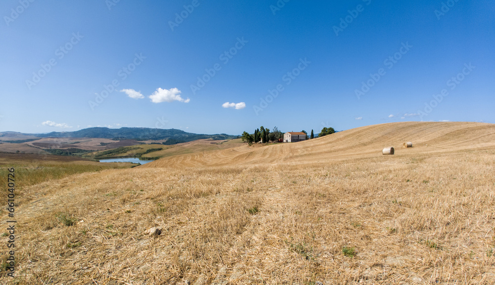 Rural countryside landscape of Tuscany hills. The Tuscany region is characterized by the cultivation of wheat, olives, vineyards and cypress passages.