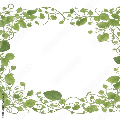 Wallpaper Mural Vines, leaf, border frame PNG transparent background Torontodigital.ca