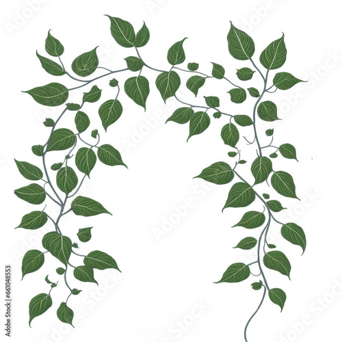 Vines, leaf, border frame PNG transparent background