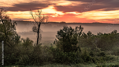 Morning fog at sunrise over the Suprasl River in Podlasie. photo