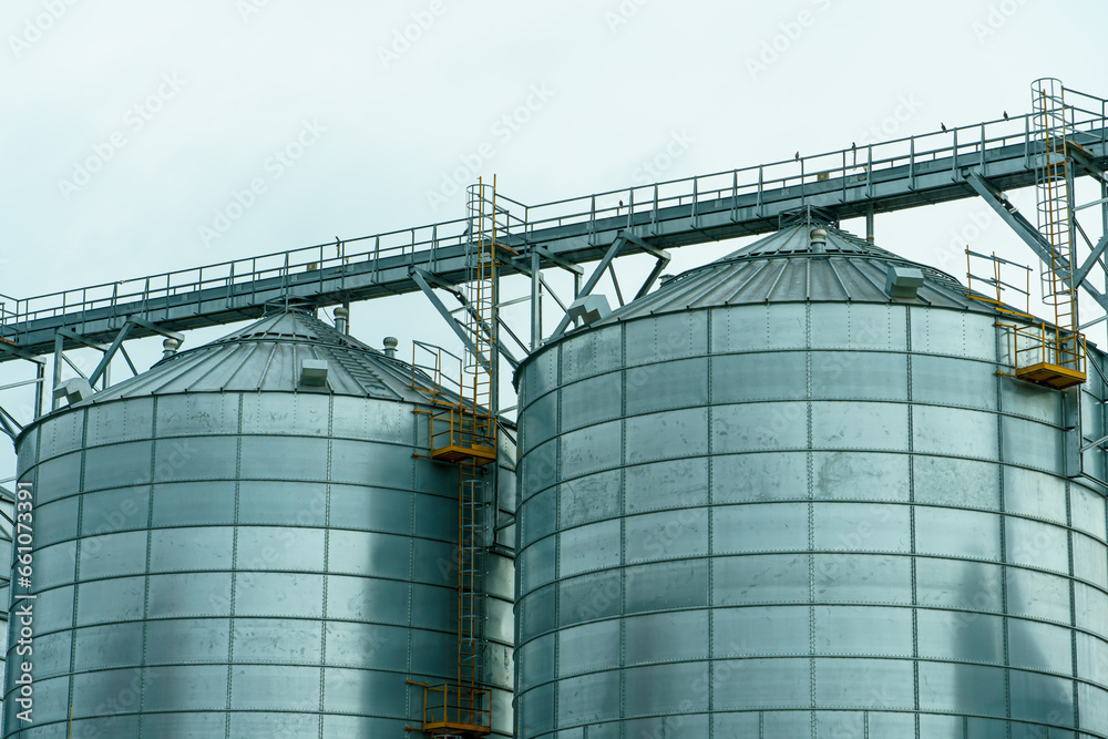 silver silos on agro manufacturing plant for processing drying cleaning and storage of agricultural products, flour, cereals and grain. Large iron barrels of grain. Granary elevator