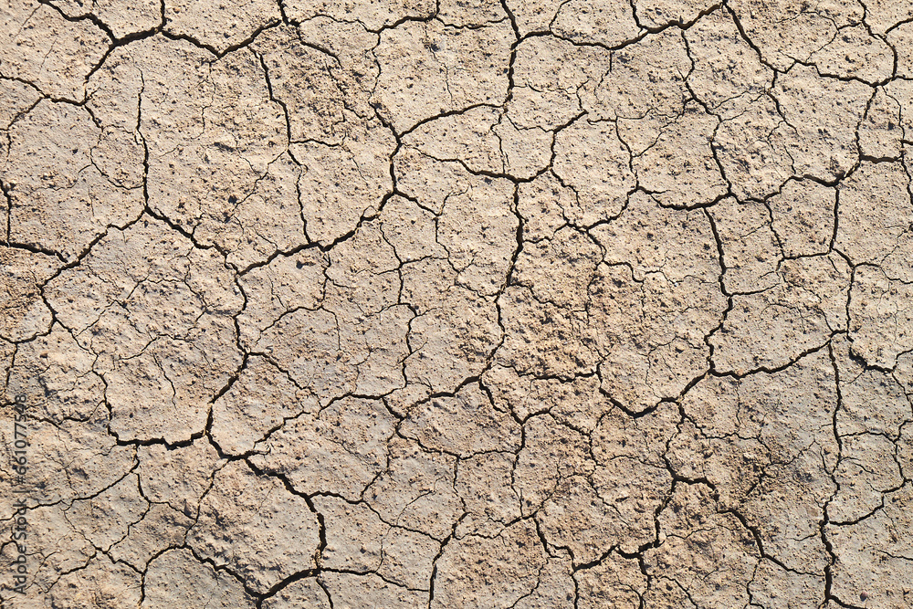 Top view of abstract, cracked, brown earth resembling the surface of Mars or the moon, a textured topography portraying the beauty of desolation Top view of abstract, cracked, brown earth resembling the surface of Mars or the moon, a textured topography portraying the beauty of desolation