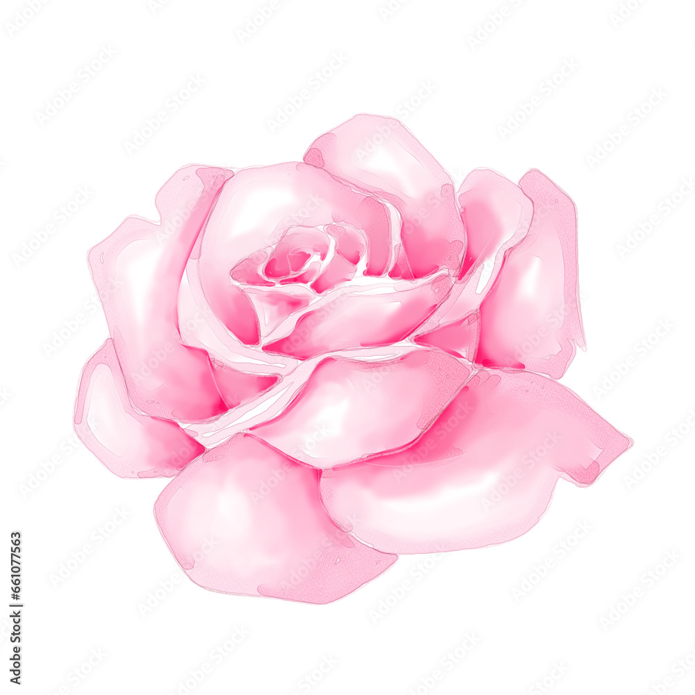 Watercolor pink rose png transparent background Watercolor pink rose png transparent background
