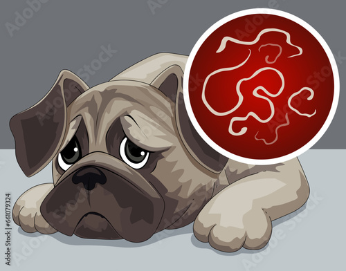 Helminths in dogs. Sick dog. Sad dog. Hastrointestinal helminths. Healthcare illustration. Vector illustration. 
