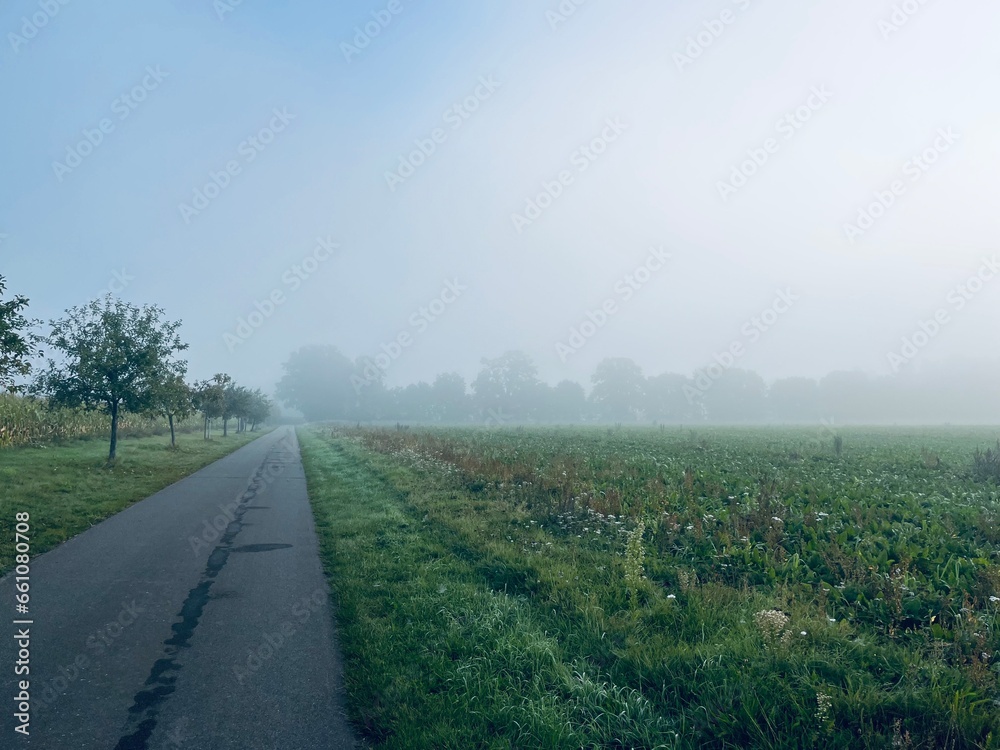 Foggy countryside view, rural landscape, mist on the field