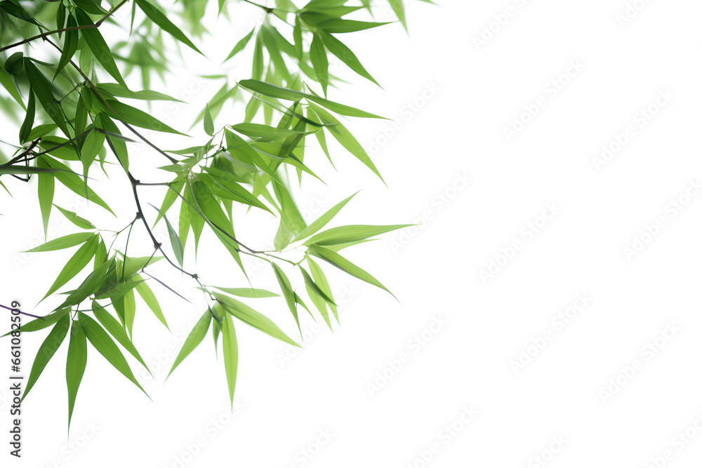 Fototapeta premium Green bamboo with leaves isolated on a transparent background, Generative AI