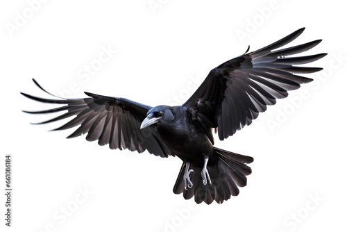 Painted raven bird in flight isolated on a transparent background  Generative AI