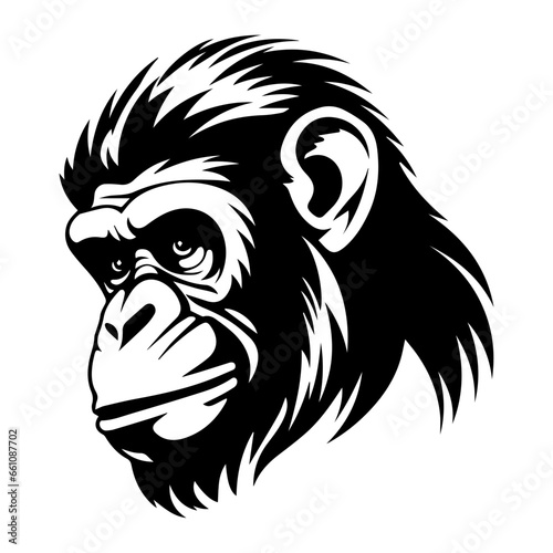 Wallpaper Mural chimpanzee vector drawing. Isolated hand drawn object, engraved style illustration Torontodigital.ca