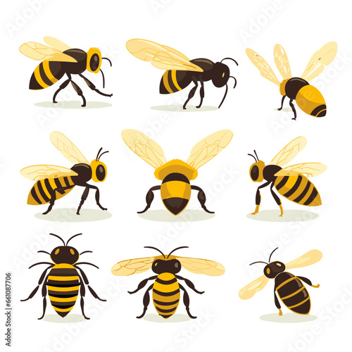 bee and honey © Feroza Bakht 