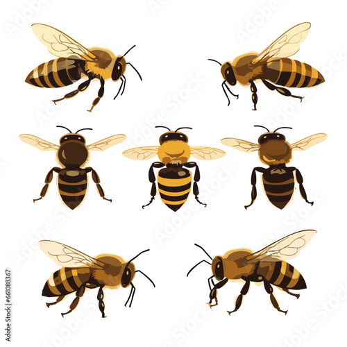 set of bees 