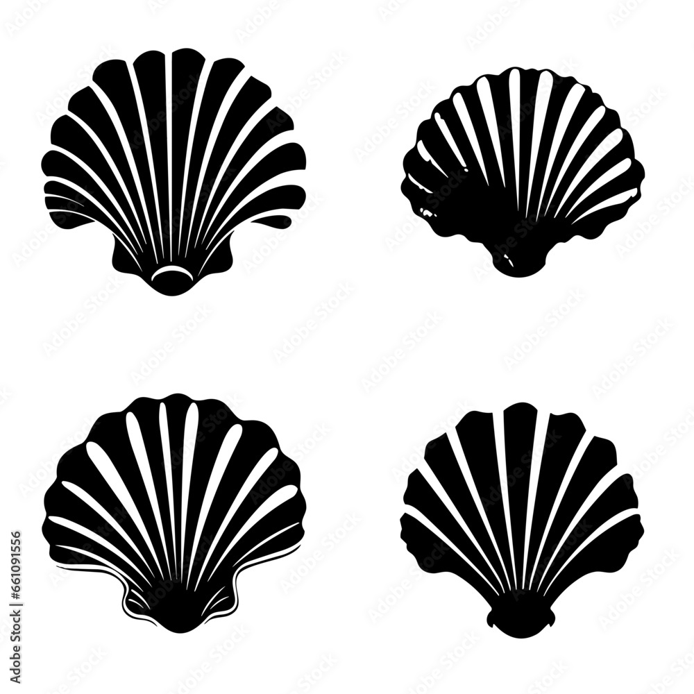 set of sea shells