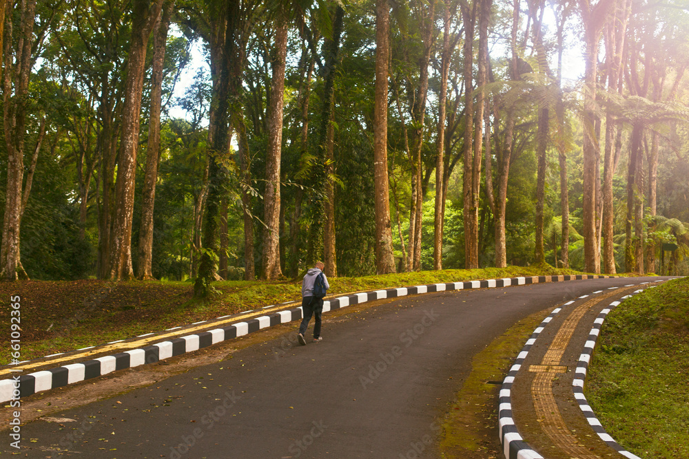 A man with a backpack walks along a large road along tall green trees against the background of the sun's rays. Stylish Tourism and Travel Concept
