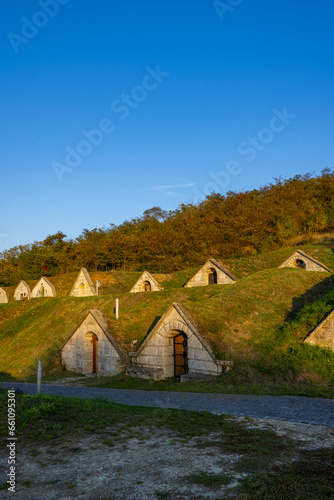 Autumnal Gombos-hegyi pincesor in Hercegkut, UNESCO site, Great Plain, North Hungary