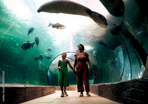 Mum and daughter holding hands in glass tunnel under aquarium and looking at swimming manatees photo