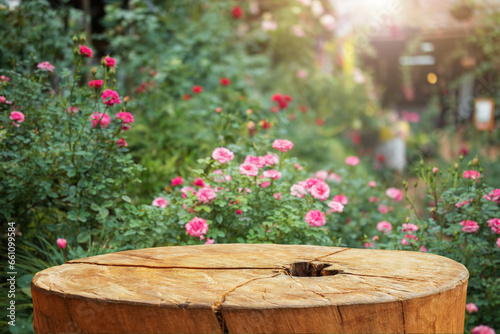 Fototapeta Naklejka Na Ścianę i Meble -  Empty old tree stump table top with blur rose garden background for product display