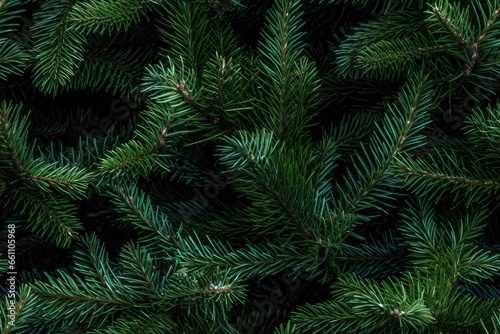 Beautiful seamless pattern with fir tree branches, coniferous forest endless texture. Evergreen nature background. Christmas or new year backdrop. © vlntn