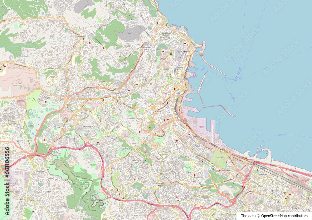 Fototapeta premium Map of Algiers, capital of Algeria