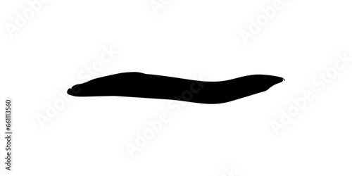 Silhouette of the fire eel (Mastacembelus erythrotaenia) is a relatively large species of spiny eel, can use for art Illustration, logo type, pictogram, website, or graphic design element. Vector 