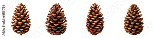 Pine Cone clipart collection, vector, icons isolated on transparent background