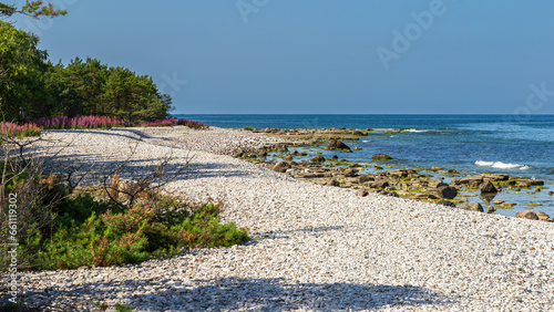 The pebble beach at Holmudden in the afternoon, Faro Gotland