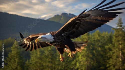 Elegant bald eagle flying experience in a nature © Muhammad