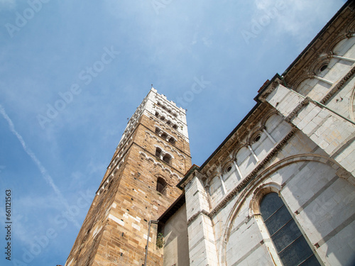 Guinigi tower in Lucca
