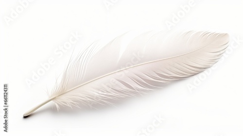 Feather, isolated on white background