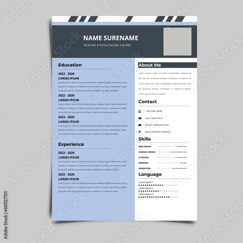 Professional Resume CV vector Graphic Templates