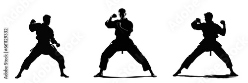 Black silhouette of a karate fighter, isolated