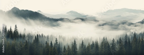 a fog-draped fir forest, evoking a sense of nostalgia and mystery. © lililia