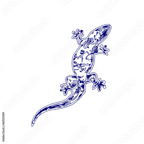 sketch of a lizard for elements in making logos and symbols