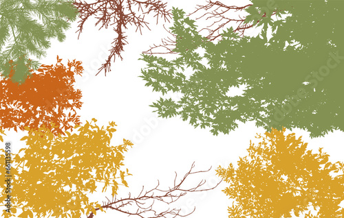 Autumn frame of deciduous branches of trees, silhouette, background. Vector illustration