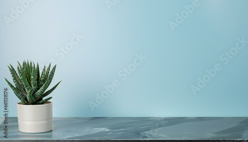  Beautiful mix Tree Vase in pot The Marble Table. any product presentation Concept photo
