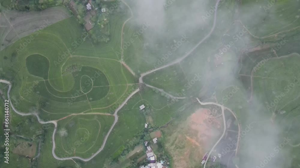 drone footage hill said of tea plantations in Sri Lanka kotagala village area