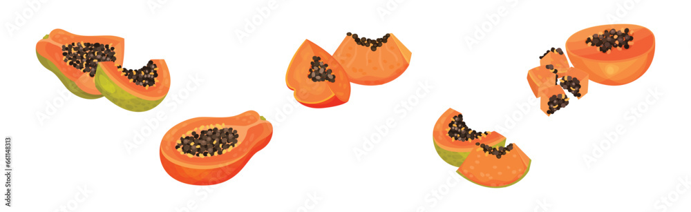 Papaya Fruit with Seeds and Orange Flesh Vector Set Papaya Fruit with Seeds and Orange Flesh Vector Set