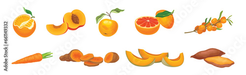 Fototapeta Naklejka Na Ścianę i Meble -  Fresh Orange Organic Fruit and Garden Cultivar Vector Set