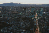 Tokyo skyline and buildings from above, view of the Tokyo prefecture with fuji mount in the background