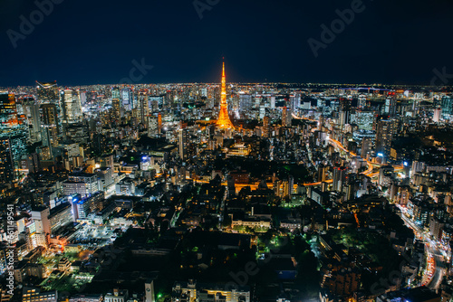 Photography Tokyo skyline and buildings from above, view of the Tokyo tower